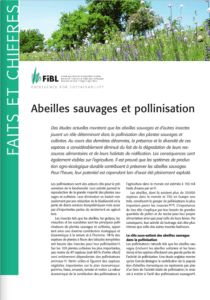 FIBL Abeilles sauvages et pollinisation