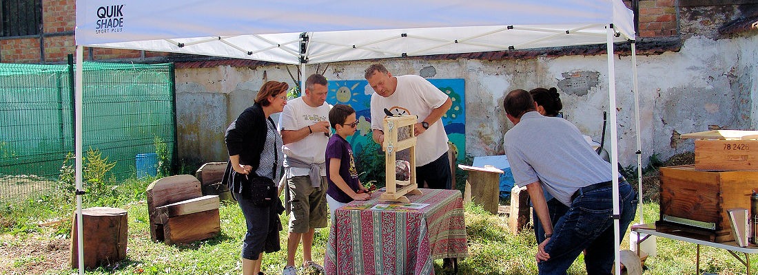 Conférence abeilles