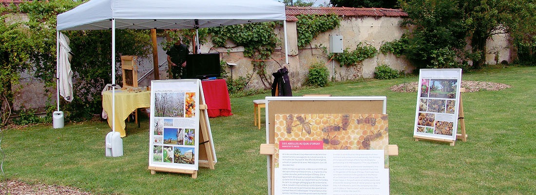 Fêtes de jardins abeilles